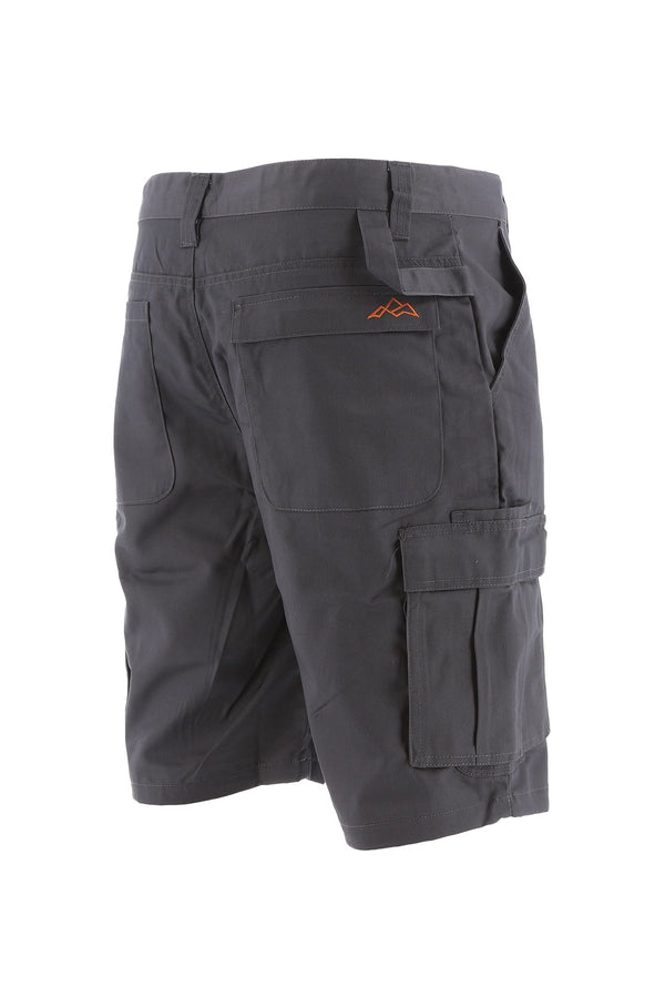 North Peak Axis Cargo Short