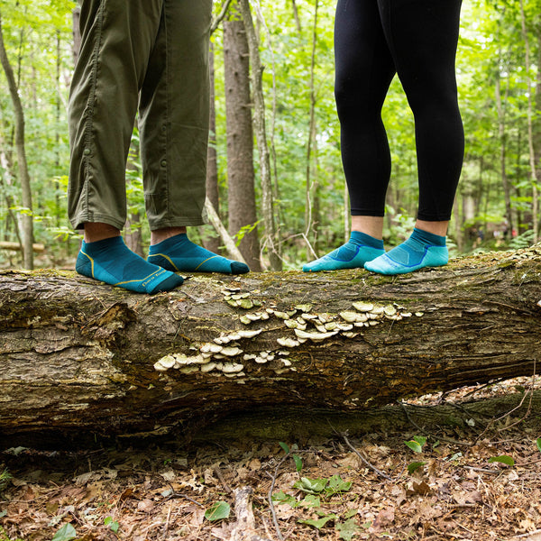 Ladies Light Hiker No Show Lightweight Hiking Merino Socks