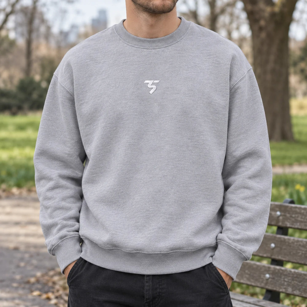 Men's Embroidered Heavyweight Sweatshirt - Light Grey — product photograph